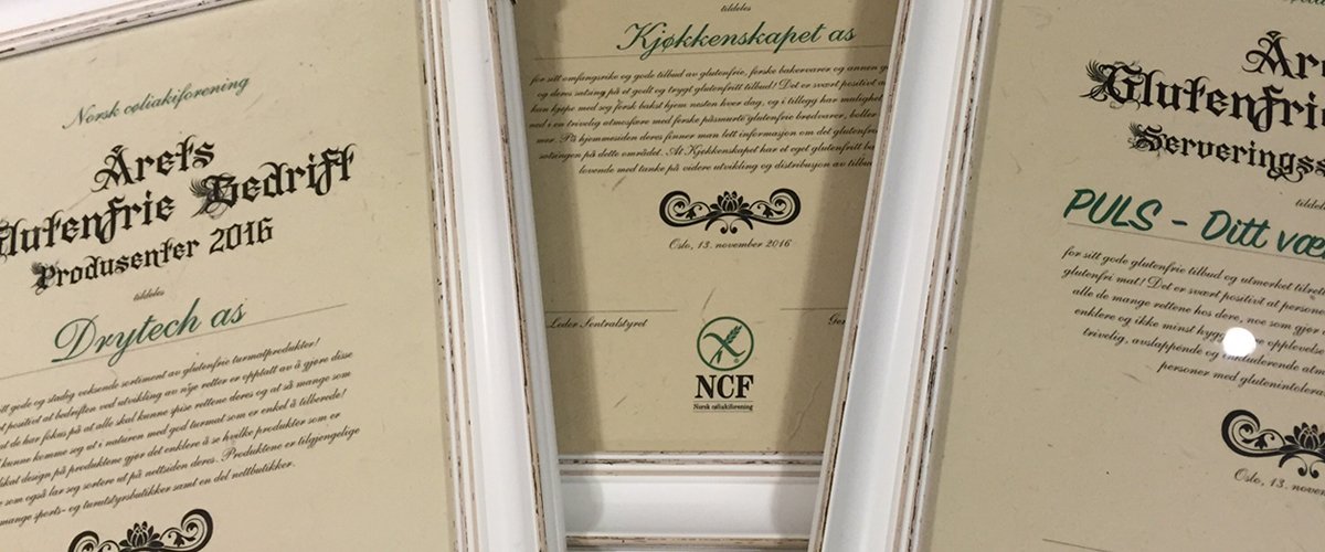 Bilde-av-diplomer-i-ramme_1200x500.jpg