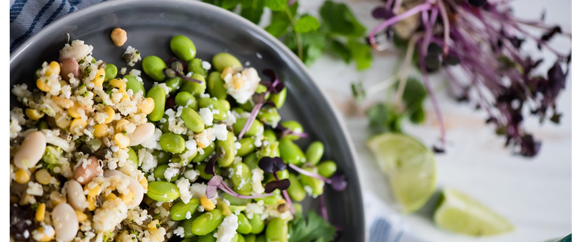 Quinoa_2_1200x500.jpg