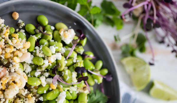 Quinoa_2_1200x500.jpg