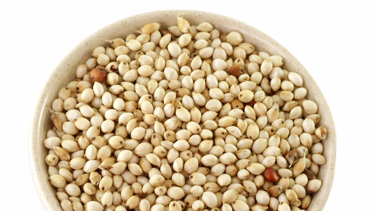 Hirse_1200x500.jpg