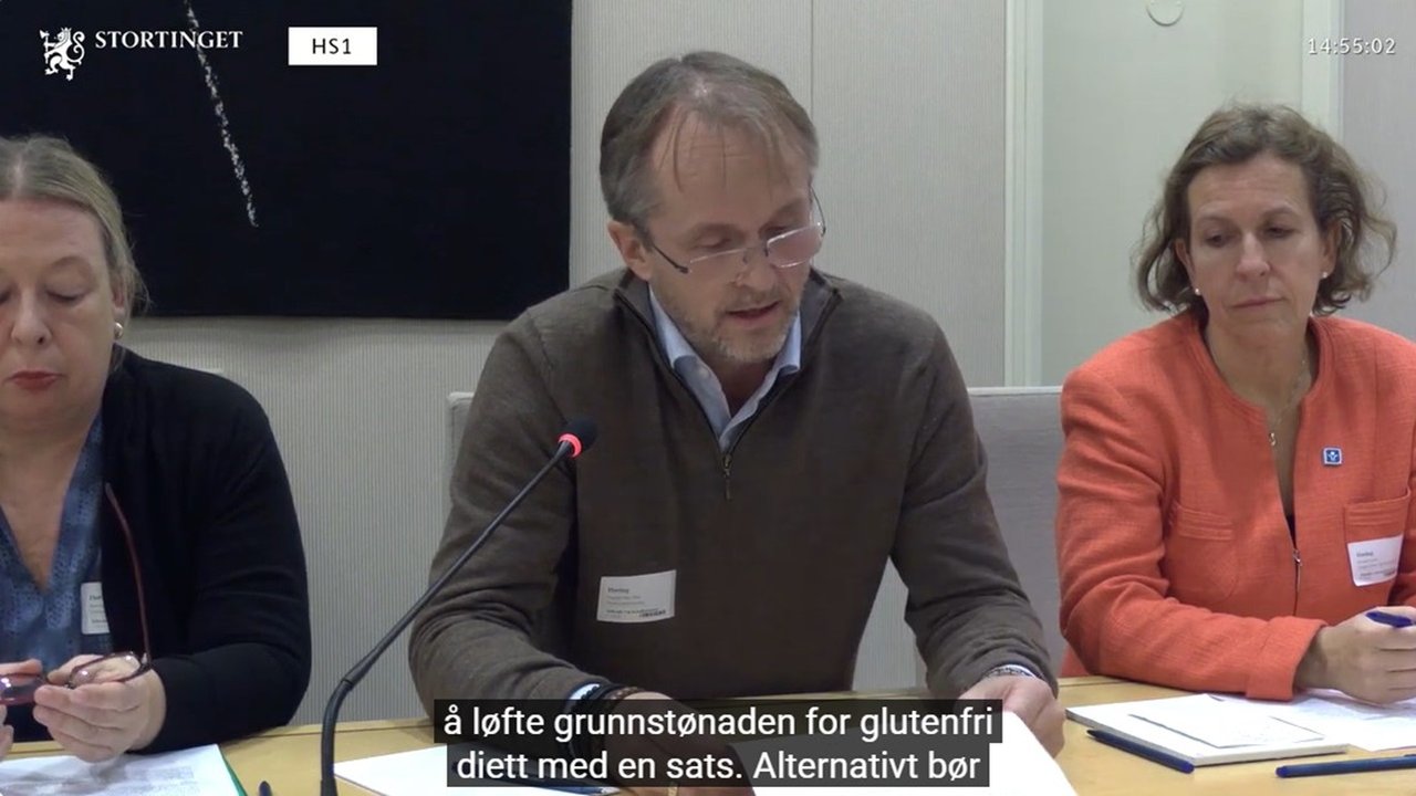 Høring oktober 2025 screenshot ny.jpg