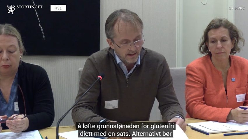 Høring oktober 2025 screenshot ny.jpg