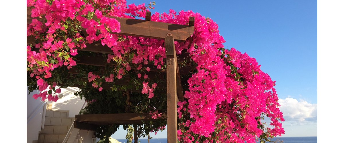 Kreta_1200x500.jpg