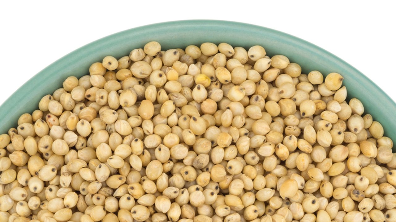 Sorghum_1200x500.jpg
