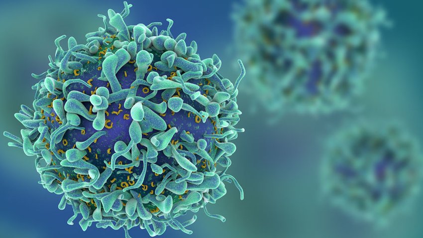 T-cell-background--foto-Istock---brukt-før.jpg