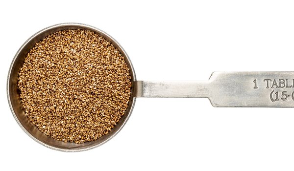 Teff_1200x500.jpg