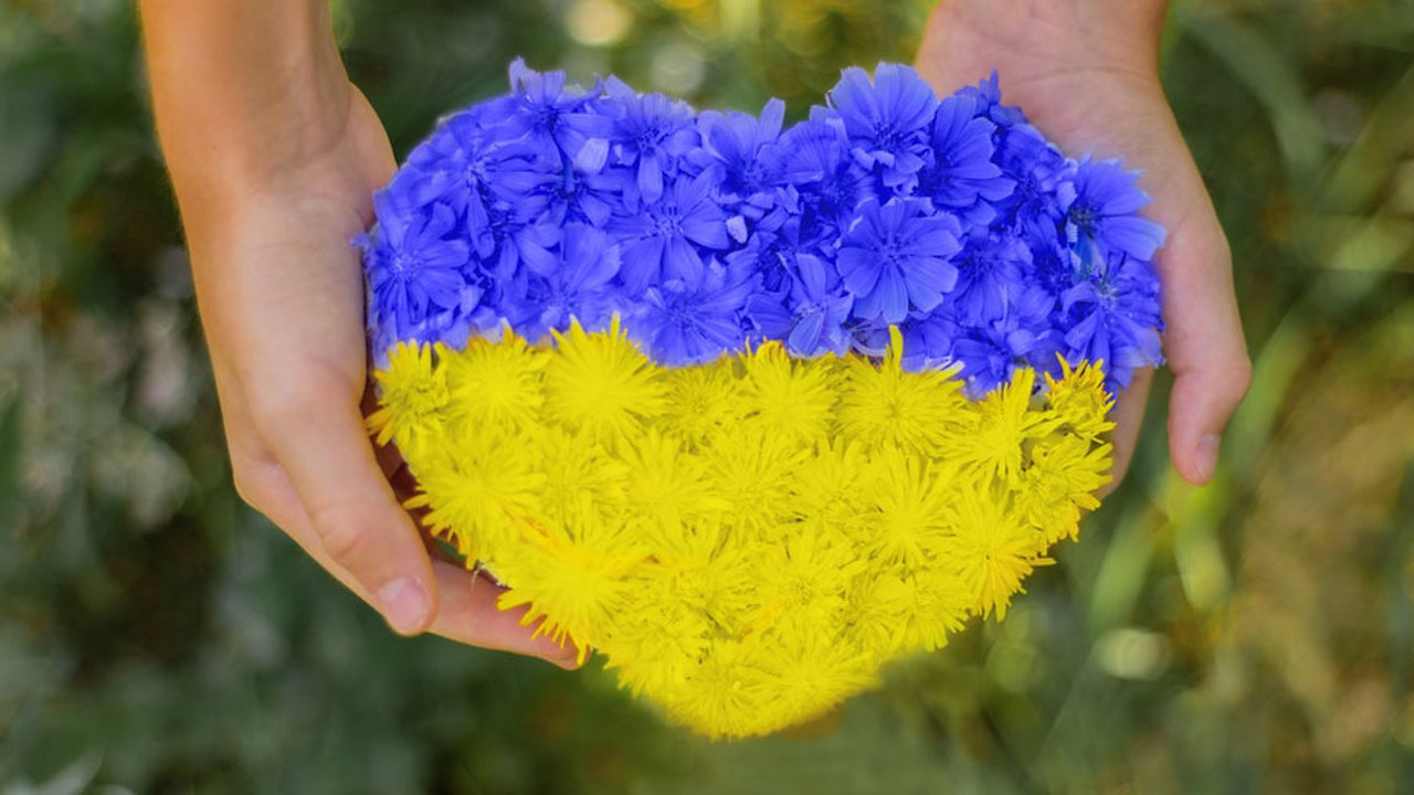 blomster-Ukraina_1200x500.jpg