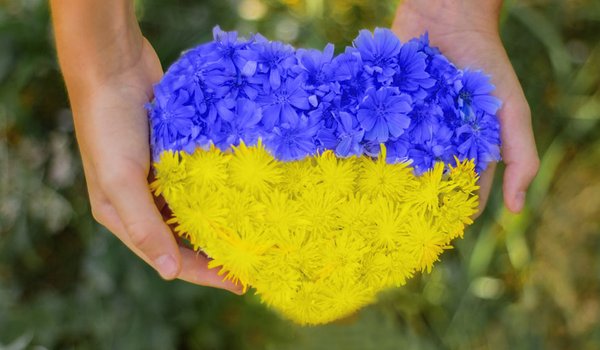 blomster-Ukraina_1200x500.jpg