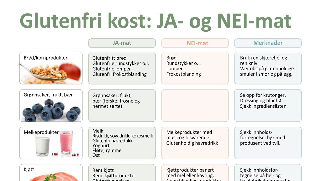 JANEI-plansje_nett_1280x720.jpg