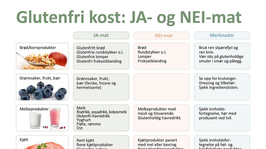 JANEI-plansje_nett_1280x720.jpg