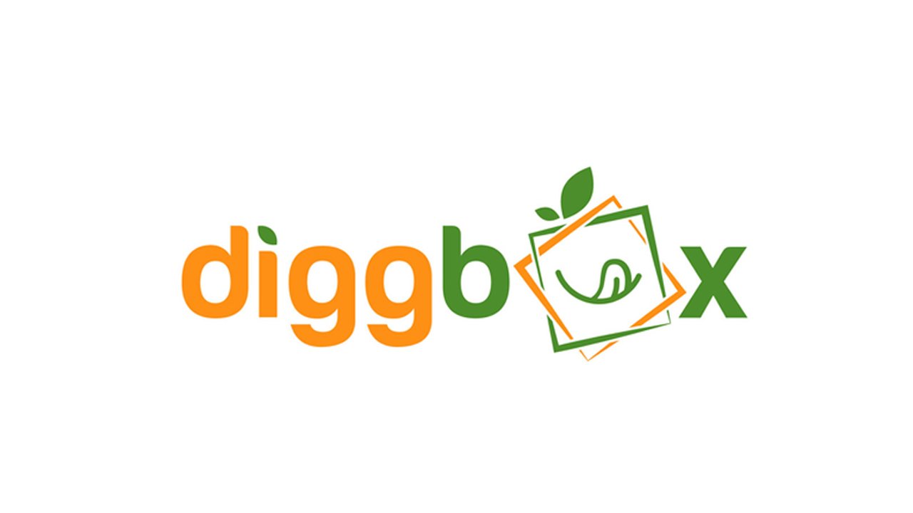 Logodiggbox-1200x500_3.jpg
